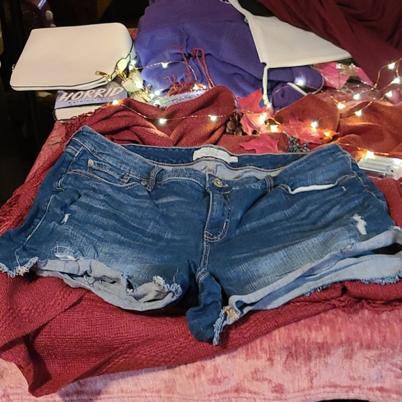 Torrid Pants - Torrid denim shorts